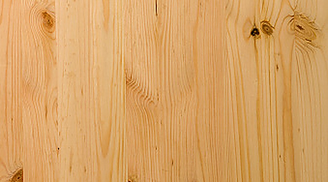 Pine softwood timber grain close-up